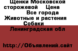 Щенки Московской сторожевой  › Цена ­ 25 000 - Все города Животные и растения » Собаки   . Ленинградская обл.